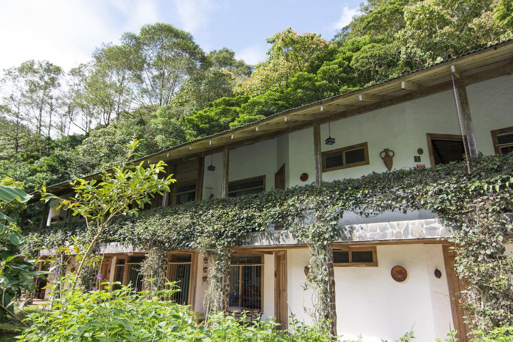 Bosque De Paz Reserva Biologica Toro Amarillo Exterior photo